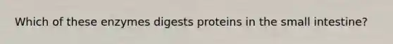 Which of these enzymes digests proteins in <a href='https://www.questionai.com/knowledge/kt623fh5xn-the-small-intestine' class='anchor-knowledge'>the small intestine</a>?