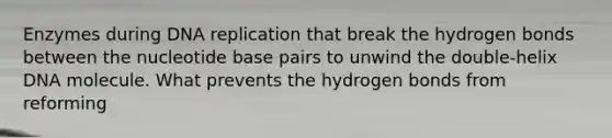 Enzymes during DNA replication that break the hydrogen bonds between the nucleotide base pairs to unwind the double-helix DNA molecule. What prevents the hydrogen bonds from reforming