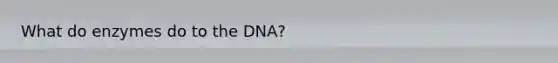 What do enzymes do to the DNA?