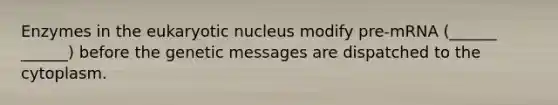 Enzymes in the eukaryotic nucleus modify pre-mRNA (______ ______) before the genetic messages are dispatched to the cytoplasm.