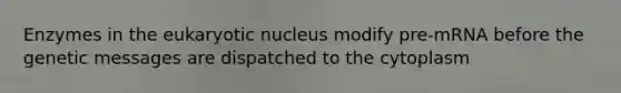 Enzymes in the eukaryotic nucleus modify pre-mRNA before the genetic messages are dispatched to the cytoplasm