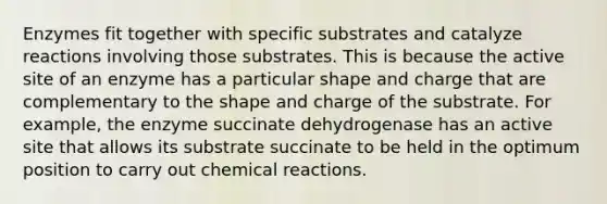 Enzymes fit together with specific substrates and catalyze reactions involving those substrates. This is because the active site of an enzyme has a particular shape and charge that are complementary to the shape and charge of the substrate. For example, the enzyme succinate dehydrogenase has an active site that allows its substrate succinate to be held in the optimum position to carry out chemical reactions.