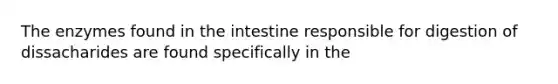 The enzymes found in the intestine responsible for digestion of dissacharides are found specifically in the