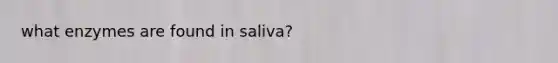 what enzymes are found in saliva?