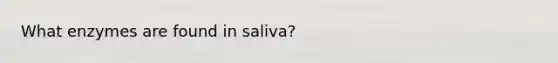 What enzymes are found in saliva?