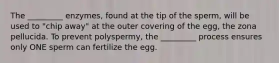 The _________ enzymes, found at the tip of the sperm, will be used to "chip away" at the outer covering of the egg, the zona pellucida. To prevent polyspermy, the _________ process ensures only ONE sperm can fertilize the egg.