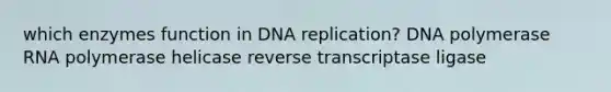 which enzymes function in DNA replication? DNA polymerase RNA polymerase helicase reverse transcriptase ligase