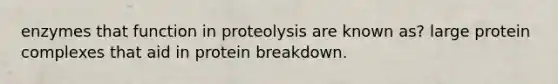 enzymes that function in proteolysis are known as? large protein complexes that aid in protein breakdown.