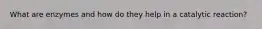 What are enzymes and how do they help in a catalytic reaction?