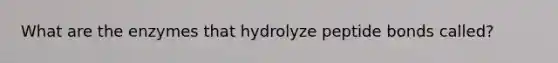 What are the enzymes that hydrolyze peptide bonds called?