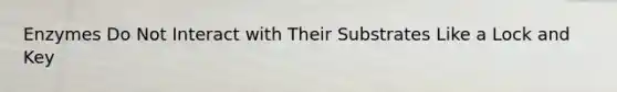 Enzymes Do Not Interact with Their Substrates Like a Lock and Key