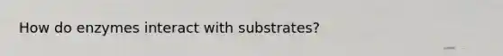 How do enzymes interact with substrates?