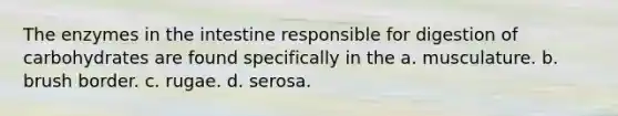 The enzymes in the intestine responsible for digestion of carbohydrates are found specifically in the a. musculature. b. brush border. c. rugae. d. serosa.