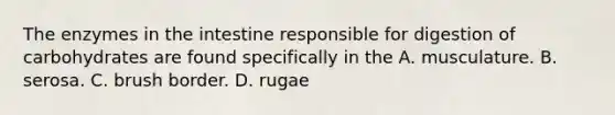 The enzymes in the intestine responsible for digestion of carbohydrates are found specifically in the A. musculature. B. serosa. C. brush border. D. rugae