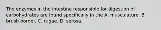 The enzymes in the intestine responsible for digestion of carbohydrates are found specifically in the A. musculature. B. brush border. C. rugae. D. serosa.