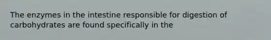 The enzymes in the intestine responsible for digestion of carbohydrates are found specifically in the