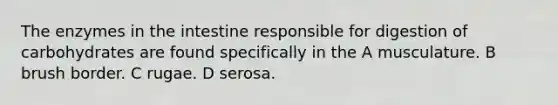 The enzymes in the intestine responsible for digestion of carbohydrates are found specifically in the A musculature. B brush border. C rugae. D serosa.