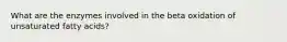What are the enzymes involved in the beta oxidation of unsaturated fatty acids?