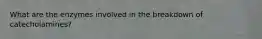 What are the enzymes involved in the breakdown of catecholamines?