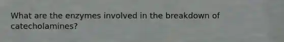 What are the enzymes involved in the breakdown of catecholamines?