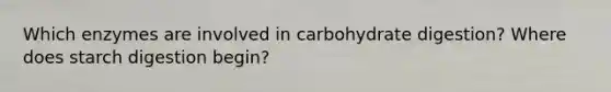 Which enzymes are involved in carbohydrate digestion? Where does starch digestion begin?