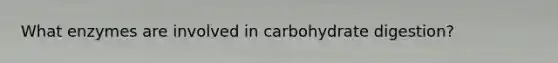 What enzymes are involved in carbohydrate digestion?