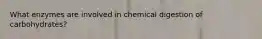 What enzymes are involved in chemical digestion of carbohydrates?