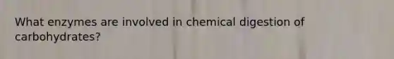 What enzymes are involved in chemical digestion of carbohydrates?