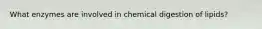 What enzymes are involved in chemical digestion of lipids?