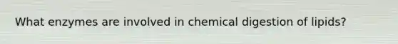 What enzymes are involved in chemical digestion of lipids?