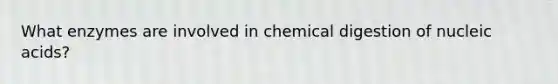 What enzymes are involved in chemical digestion of nucleic acids?