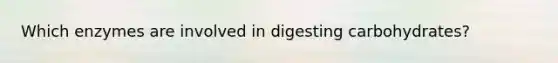 Which enzymes are involved in digesting carbohydrates?