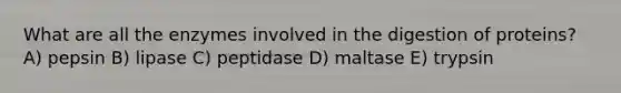 What are all the enzymes involved in the digestion of proteins? A) pepsin B) lipase C) peptidase D) maltase E) trypsin