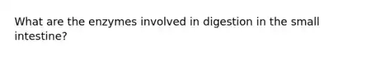 What are the enzymes involved in digestion in the small intestine?