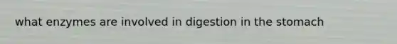 what enzymes are involved in digestion in the stomach