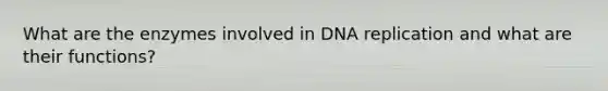 What are the enzymes involved in DNA replication and what are their functions?