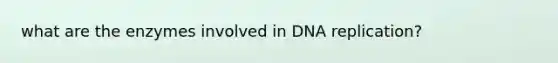 what are the enzymes involved in <a href='https://www.questionai.com/knowledge/kofV2VQU2J-dna-replication' class='anchor-knowledge'>dna replication</a>?