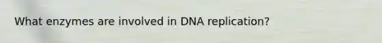 What enzymes are involved in <a href='https://www.questionai.com/knowledge/kofV2VQU2J-dna-replication' class='anchor-knowledge'>dna replication</a>?