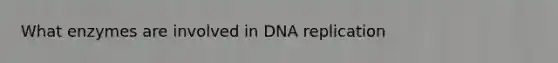 What enzymes are involved in DNA replication