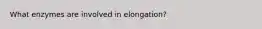 What enzymes are involved in elongation?