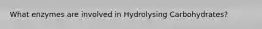 What enzymes are involved in Hydrolysing Carbohydrates?