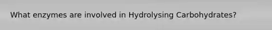 What enzymes are involved in Hydrolysing Carbohydrates?