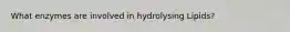 What enzymes are involved in hydrolysing Lipids?