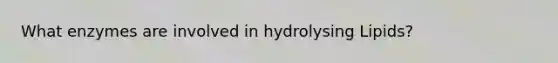 What enzymes are involved in hydrolysing Lipids?