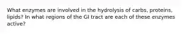 What enzymes are involved in the hydrolysis of carbs, proteins, lipids? In what regions of the GI tract are each of these enzymes active?