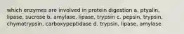 which enzymes are involved in protein digestion a. ptyalin, lipase, sucrose b. amylase, lipase, trypsin c. pepsin, trypsin, chymotrypsin, carboxypeptidase d. trypsin, lipase, amylase