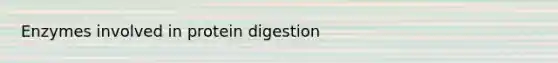 Enzymes involved in protein digestion