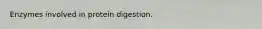 Enzymes involved in protein digestion.