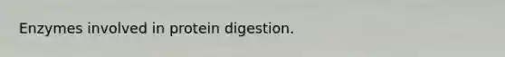 Enzymes involved in protein digestion.