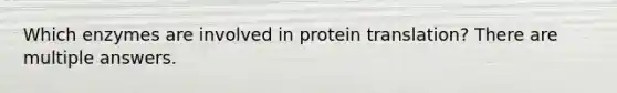 Which enzymes are involved in protein translation? There are multiple answers.